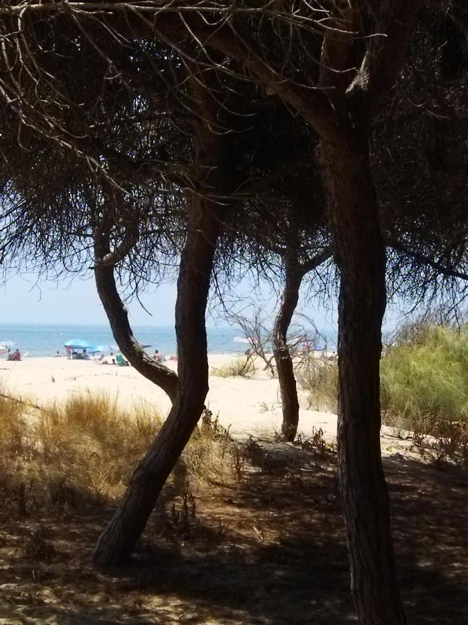 Вилла Sol Y Mar Исла-Кристина Экстерьер фото